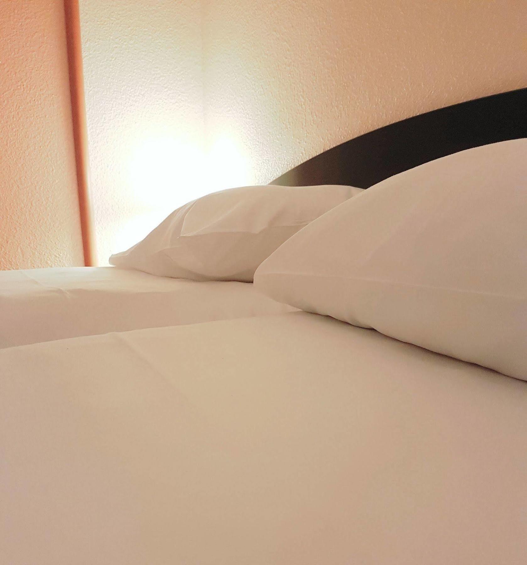 Ibis Archamps Porte De Geneve المظهر الخارجي الصورة